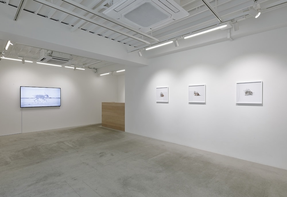 Other Installation Views